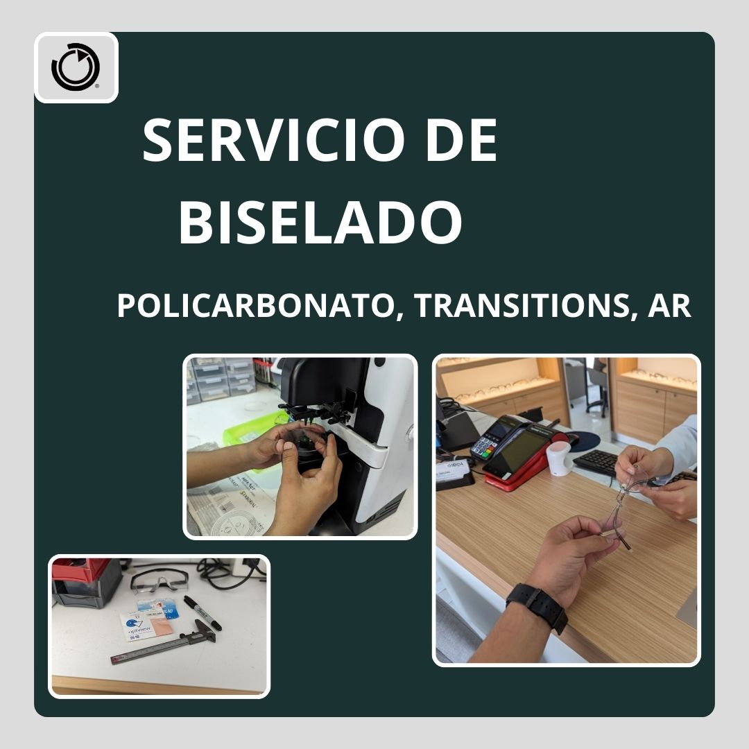 Biselado Policarbonato, Transitions, AR 3118