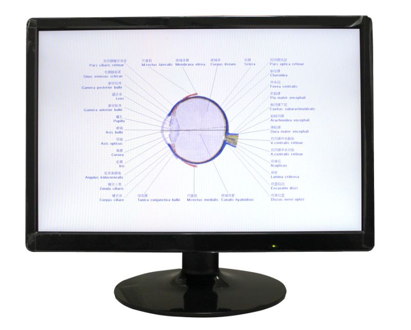 Optotipo Tipo Pantalla Monitor 18.5” LCD 264LY185