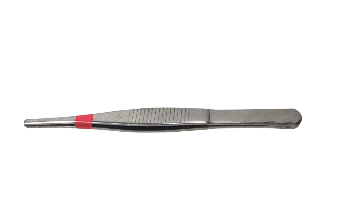 Pinza Dentada 300