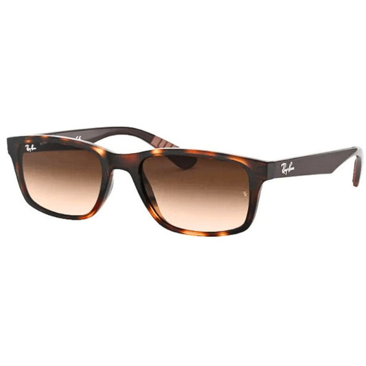 Gafa solar Ray-Ban 4234